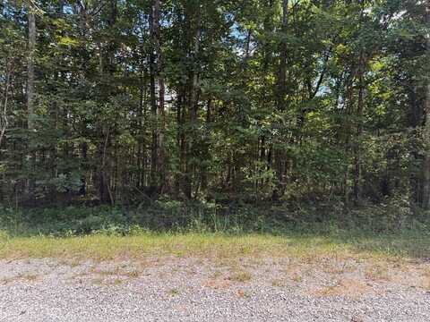 4021 Tonto Dr, CROSSVILLE, TN 38572