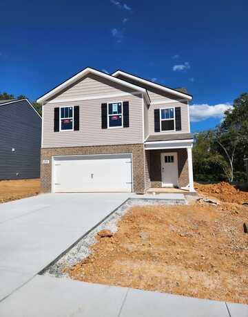 255 London Court, Baxter, TN 38544