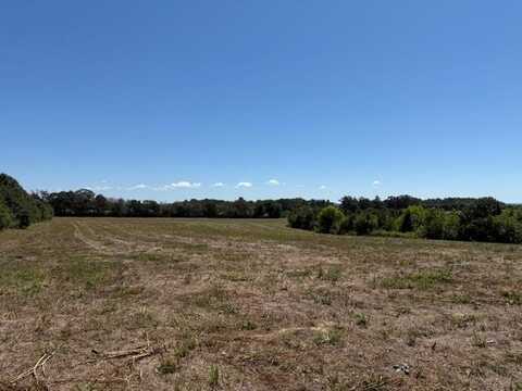 Foster Rd., McMinnville, TN 37110
