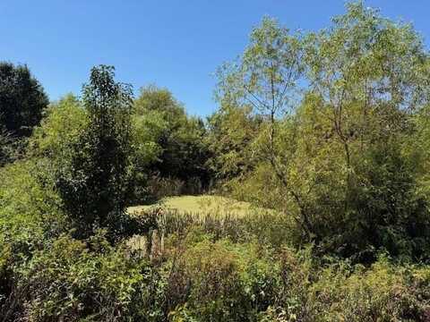 Foster Rd., McMinnville, TN 37110