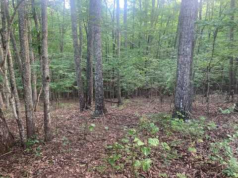 Jaguar Trail, Spencer, TN 38585