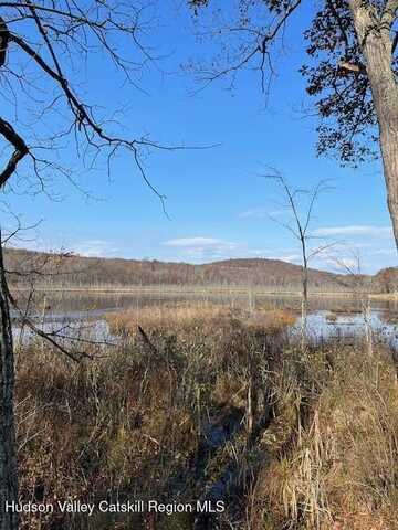 Lily Lake Road, Highland, NY 12528