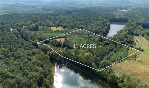 COUNTY RD 51, Greensboro, AL 36744