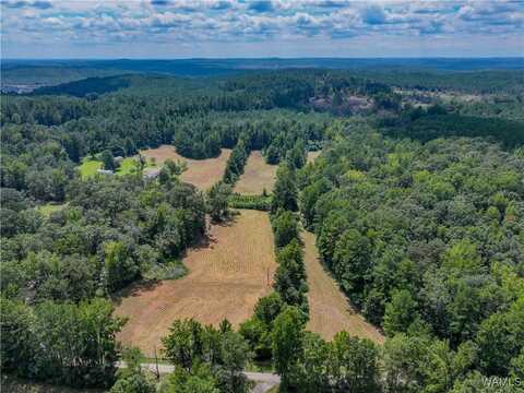 11643 Carter Road, Vance, AL 35490