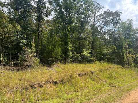 CO RD 54, Guin, AL 35563