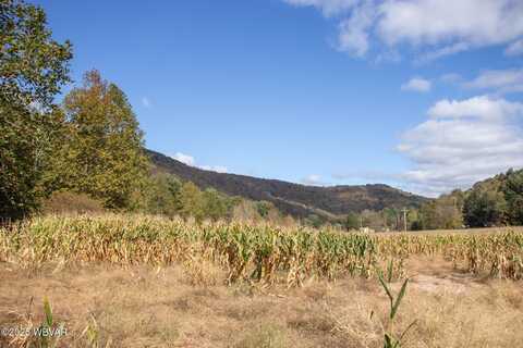 0001 STATE ROUTE 87, Forksville, PA 18616