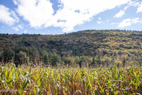 0001 STATE ROUTE 87 lot: #26, Forksville, PA 18616