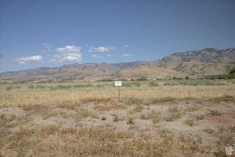 12456 N 525 E, Lewiston, UT 84320