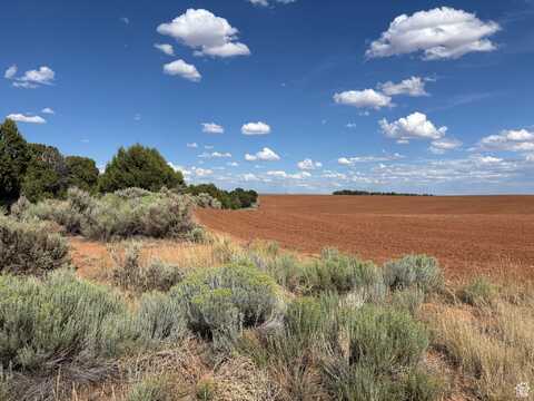 600 S CR 312 (EASTLAND RD), Monticello, UT 84535