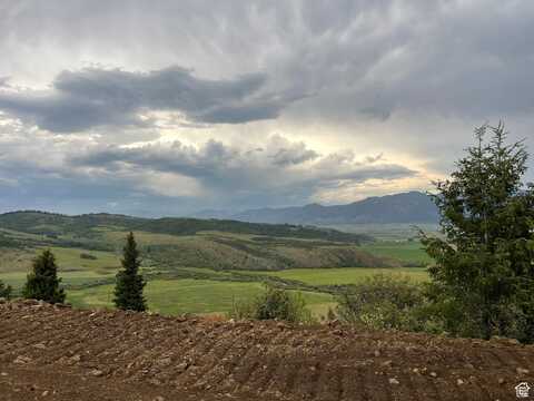 4 RIDGE, Freedom, WY 83120