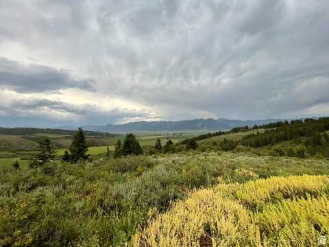 5 RIDGE, Freedom, WY 83120