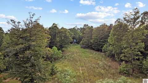 000 Rockcastle Road, Cadiz, KY 42211