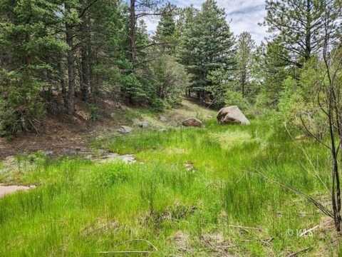 427 Upper Aspen Trail Rd, Westcliffe, CO 81252