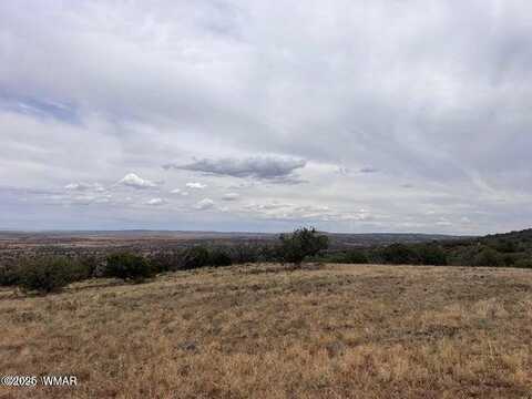 Lot 8 N8526, Concho, AZ 85924