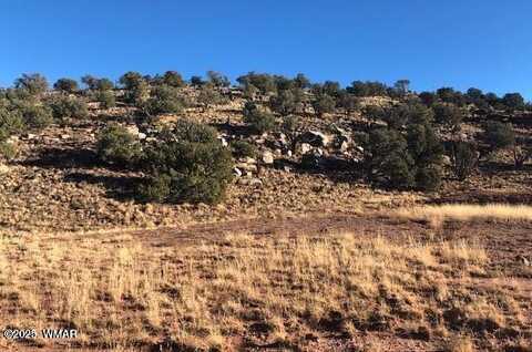 Lot 13 N8526, Concho, AZ 85924