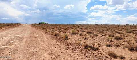006t Willis Ranch Ln, Snowflake, AZ 85937