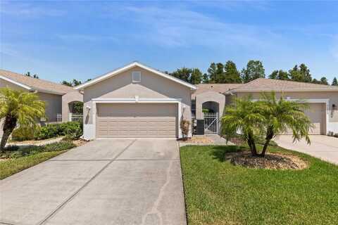 21336 DIAMONTE DRIVE, LAND O LAKES, FL 34637