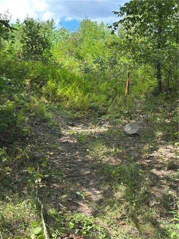 Lot 11 Sarah Furnace Rd, Rimersburg, PA 16248
