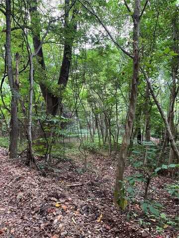 Gum Springs RD, Parthenon, AR 72666