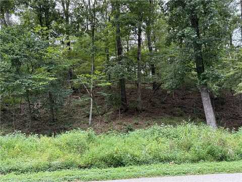 Hilltop DR, Rogers, AR 72756