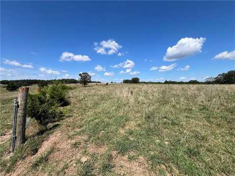 1017 County Road 403, Berryville, AR 72616