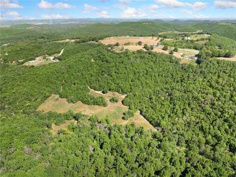 Mercy Mountain DR, Harrison, AR 72601