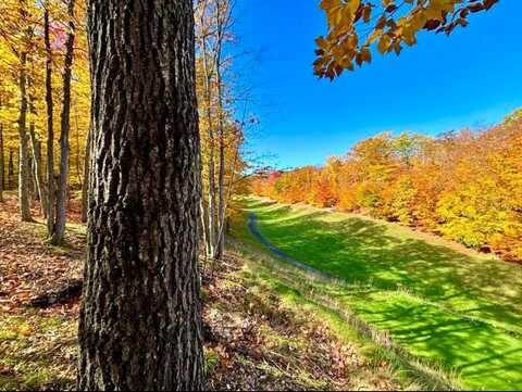 25+AC Michaywe Drive, Gaylord, MI 49735