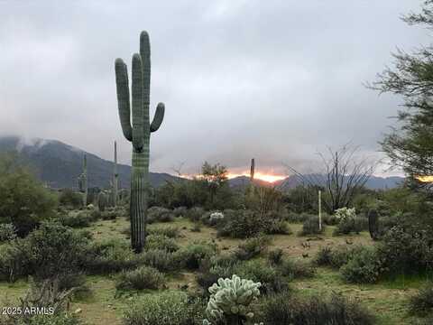 39005 N CRESTED QUAIL Run, Carefree, AZ 85377