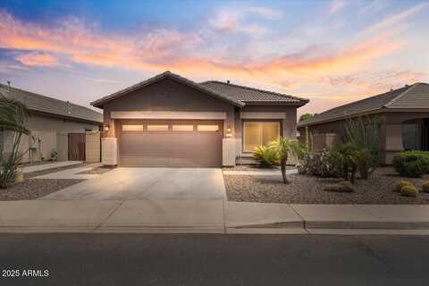 157 N 116TH Lane, Avondale, AZ 85323