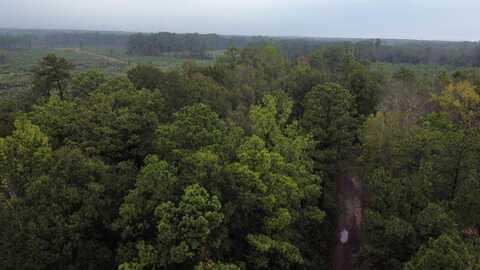 876 County Road 3087, Call, TX 75933