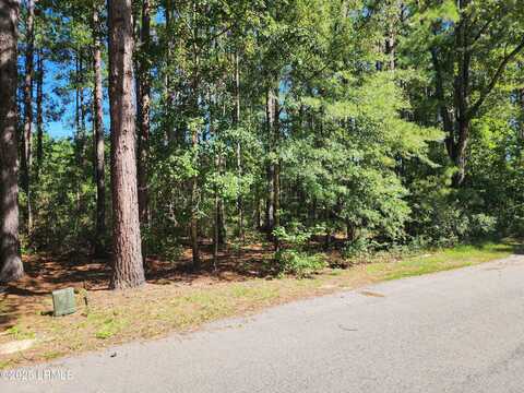 301 Founders Oak Way, Yemassee, SC 29945