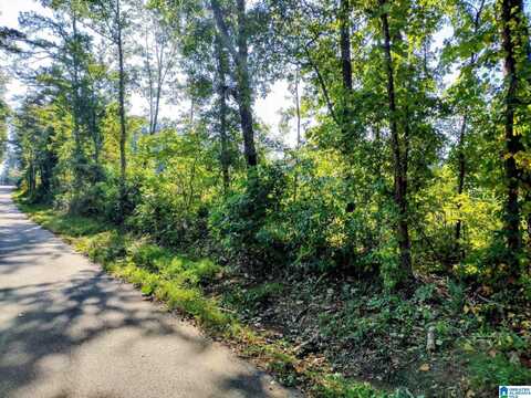 0 FINCHER ROAD, ROANOKE, AL 36274