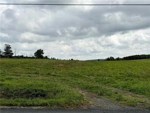 0 Terry Hill Rd, Veteran, NY 14845