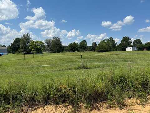 Lot #9 Jamestown Road, Cordele, GA 31015