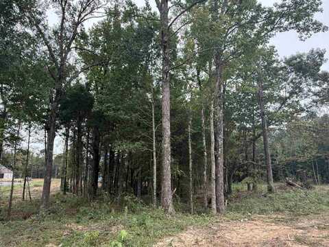 26 Ules Watson Drive, Greenbrier, AR 72058