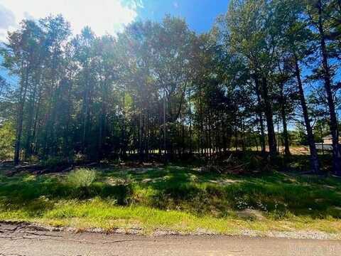 26 Ules Watson Drive, Greenbrier, AR 72058
