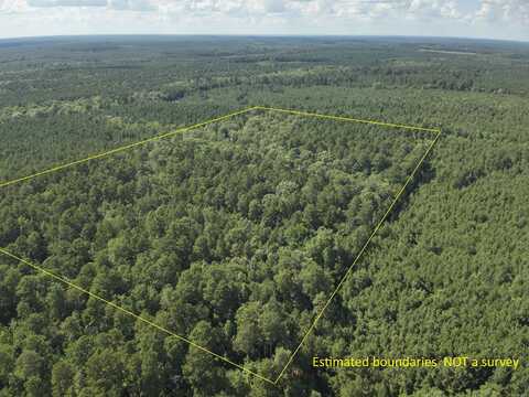 undefined, Rosston, AR 71858