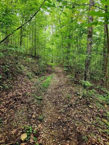 00 S Pittsburg Mountain Road, South Pittsburg, TN 37380