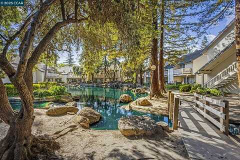 1117 Indian Summer Ct, San Jose, CA 95122