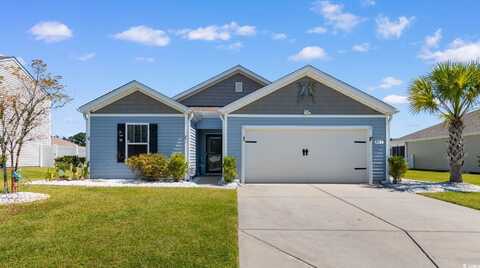 517 Mossbank Loop, Longs, SC 29568