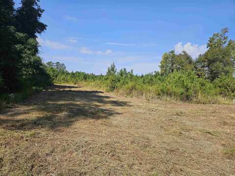 109 Acres - TBD Trifalia Rd., Scranton, SC 29591