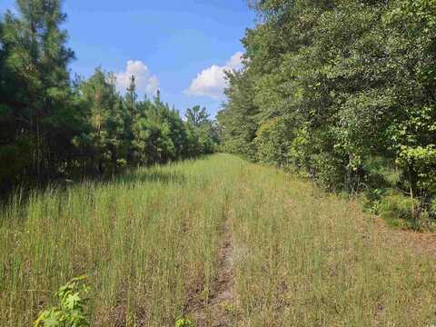 109ac Trifalia Rd., Scranton, SC 29591