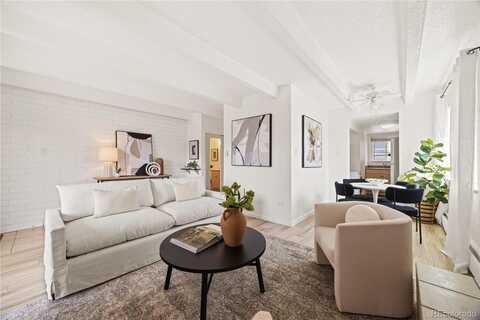 250 N Pearl Street, Denver, CO 80203