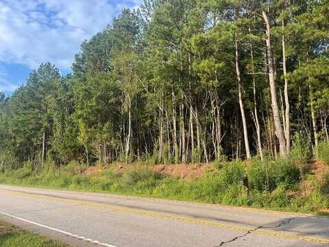 0 Buck Shoals Road, Gaffney, SC 29341