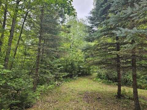 3900 N M 30, Gladwin, MI 48624