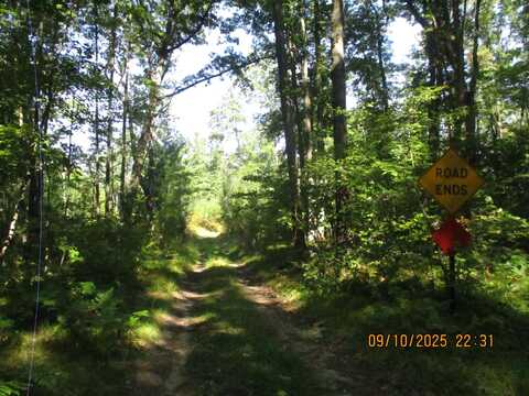 00 Firelane Trail, Lake George, MI 48633