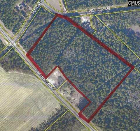 TBD Old Charleston Road, Pelion, SC 29123