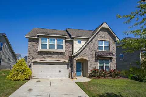 1115 Portrait Hill Drive, Chapin, SC 29036