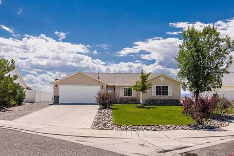 1512 Branding Iron Drive, Montrose, CO 81401