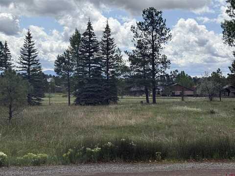 201 Pines Club Place, Pagosa Springs, CO 81147